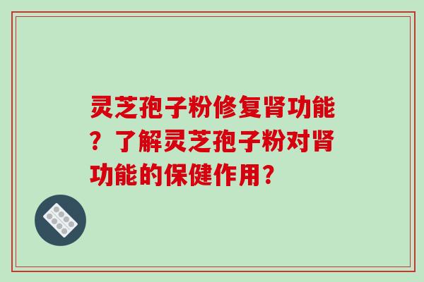 灵芝孢子粉修复肾功能？了解灵芝孢子粉对肾功能的保健作用？