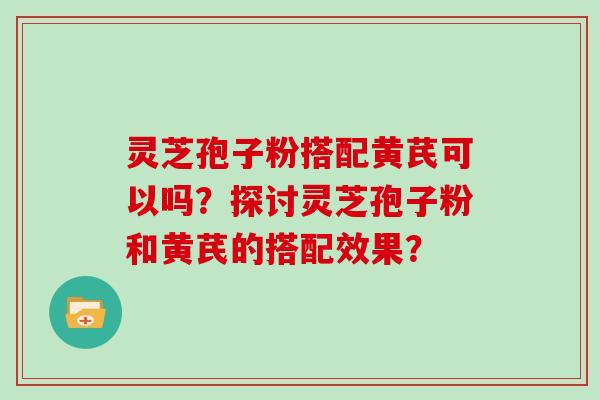 灵芝孢子粉搭配黄芪可以吗？探讨灵芝孢子粉和黄芪的搭配效果？