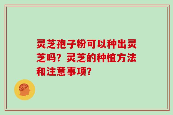 灵芝孢子粉可以种出灵芝吗?灵芝的种植方法和注意事项?