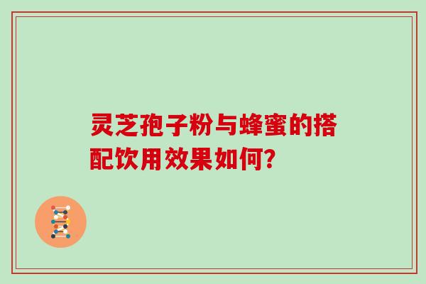 灵芝孢子粉与蜂蜜的搭配饮用效果如何？