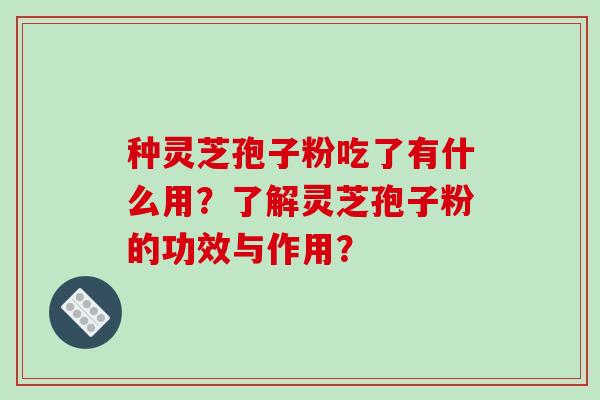 种灵芝孢子粉吃了有什么用?了解灵芝孢子粉的功效与作用?