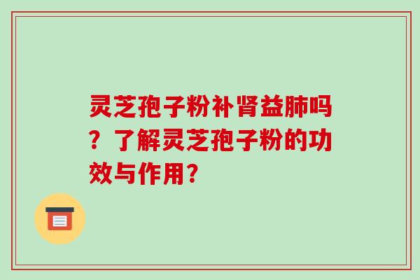 灵芝孢子粉补肾益肺吗？了解灵芝孢子粉的功效与作用？