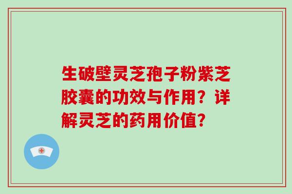 生破壁灵芝孢子粉紫芝胶囊的功效与作用？详解灵芝的药用价值？