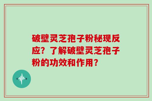 破壁灵芝孢子粉秘现反应？了解破壁灵芝孢子粉的功效和作用？