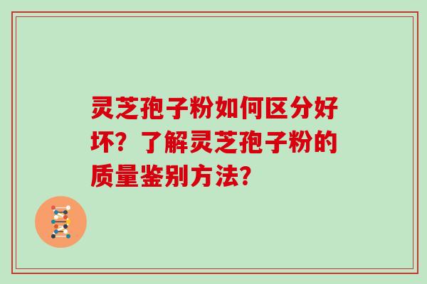 灵芝孢子粉如何区分好坏？了解灵芝孢子粉的质量鉴别方法？