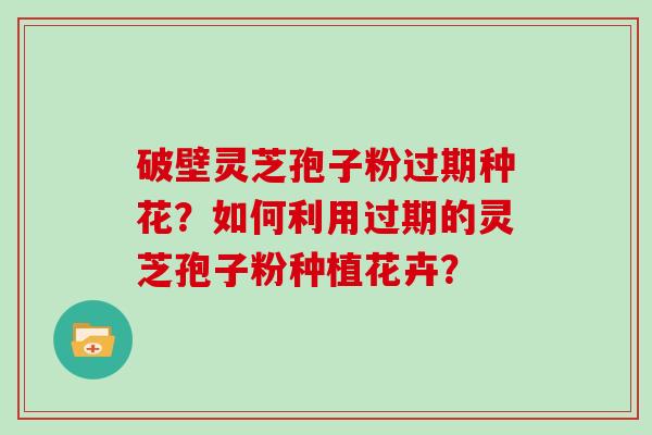 破壁灵芝孢子粉过期种花?如何利用过期的灵芝孢子粉种植花卉?