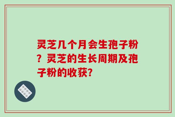 灵芝几个月会生孢子粉？灵芝的生长周期及孢子粉的收获？