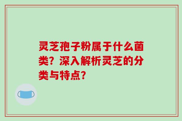 灵芝孢子粉属于什么菌类？深入解析灵芝的分类与特点？