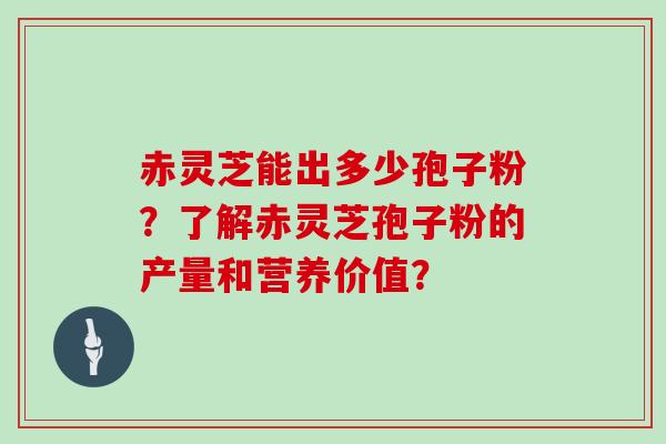 赤灵芝能出多少孢子粉?了解赤灵芝孢子粉的产量和营养价值?