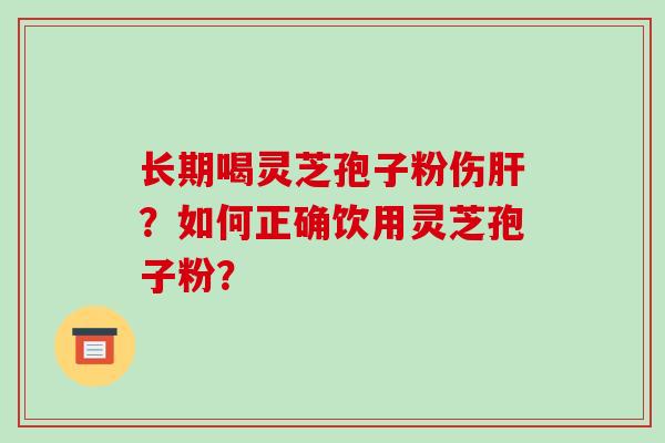 长期喝灵芝孢子粉伤肝？如何正确饮用灵芝孢子粉？