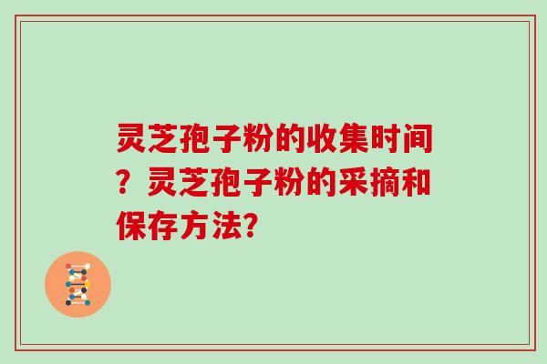 灵芝孢子粉的收集时间?灵芝孢子粉的采摘和保存方法?