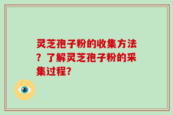 灵芝孢子粉的收集方法？了解灵芝孢子粉的采集过程？