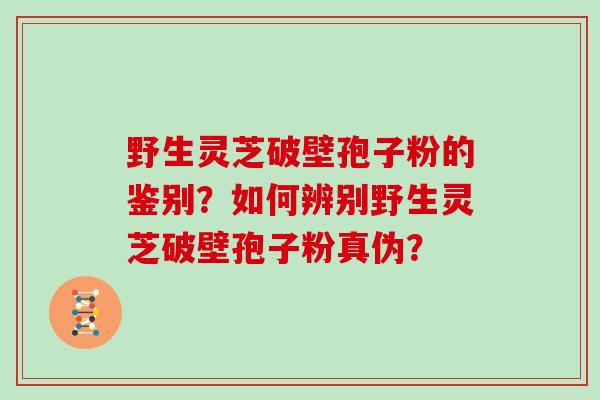 野生灵芝破壁孢子粉的鉴别?如何辨别野生灵芝破壁孢子粉真伪?