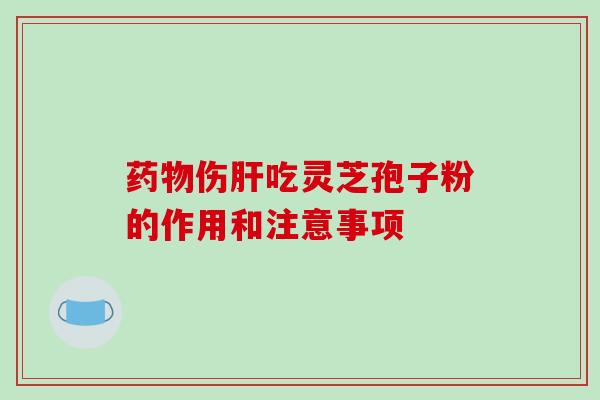 药物伤肝吃灵芝孢子粉的作用和注意事项