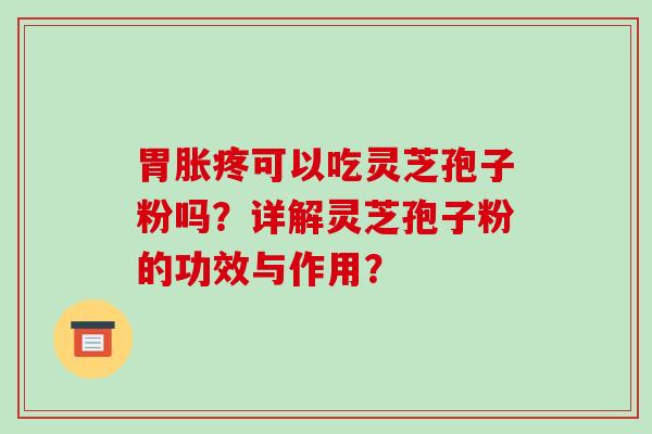 胃胀疼可以吃灵芝孢子粉吗?详解灵芝孢子粉的功效与作用?