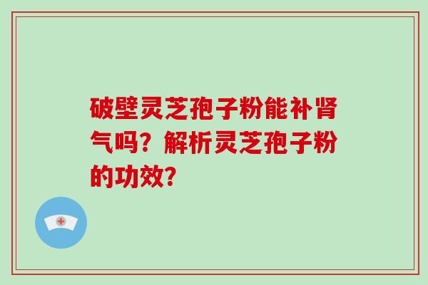 破壁灵芝孢子粉能补肾气吗?解析灵芝孢子粉的功效?