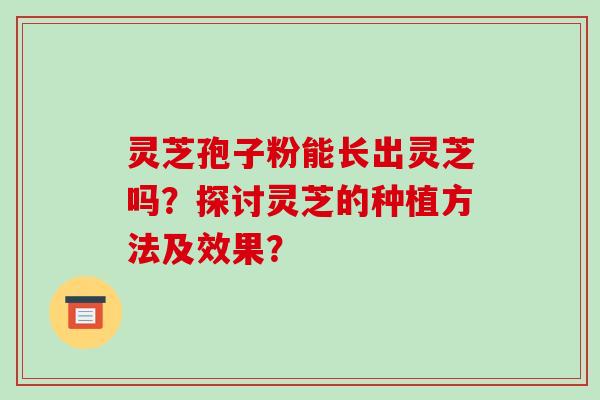 灵芝孢子粉能长出灵芝吗？探讨灵芝的种植方法及效果？