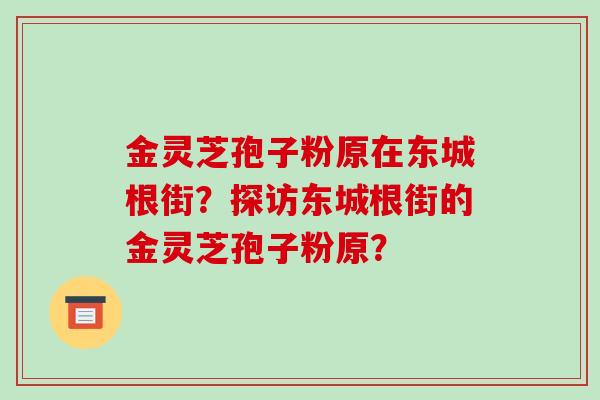 金灵芝孢子粉原在东城根街？探访东城根街的金灵芝孢子粉原？