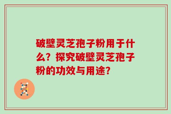 破壁灵芝孢子粉用于什么？探究破壁灵芝孢子粉的功效与用途？