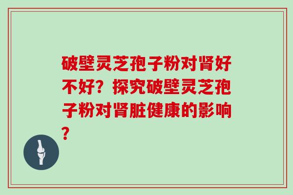 破壁灵芝孢子粉对肾好不好?探究破壁灵芝孢子粉对肾脏健康的影响?