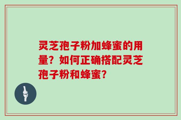 灵芝孢子粉加蜂蜜的用量？如何正确搭配灵芝孢子粉和蜂蜜？