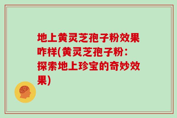 地上黄灵芝孢子粉效果咋样(黄灵芝孢子粉：探索地上珍宝的奇妙效果)