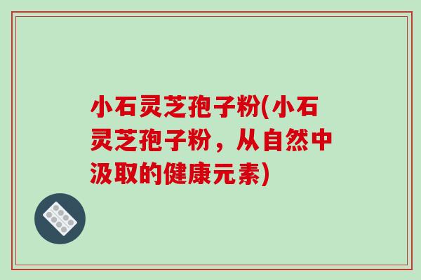 小石灵芝孢子粉(小石灵芝孢子粉,从自然中汲取的健康元素)