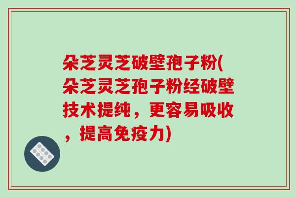 朵芝灵芝破壁孢子粉(朵芝灵芝孢子粉经破壁技术提纯，更容易吸收，提高免疫力)