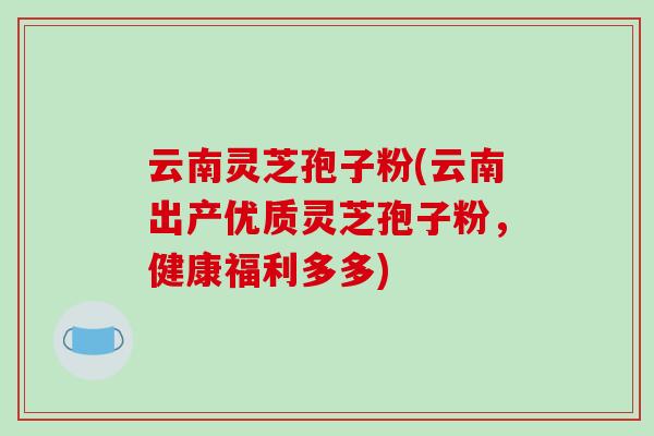 云南灵芝孢子粉(云南出产优质灵芝孢子粉,健康福利多多)