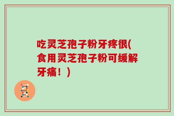 吃灵芝孢子粉牙疼很(食用灵芝孢子粉可缓解牙痛!)