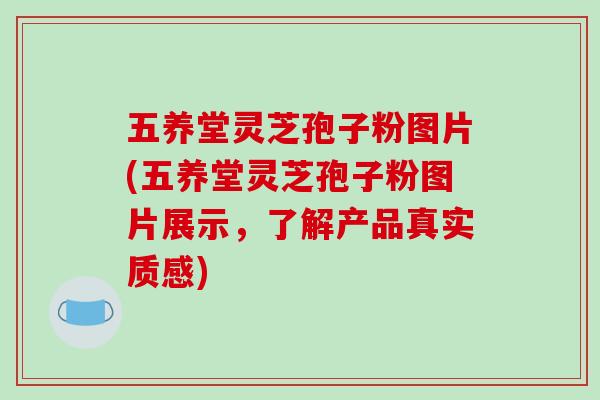 五养堂灵芝孢子粉图片(五养堂灵芝孢子粉图片展示,了解产品真实质感)