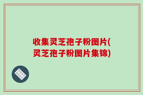 收集灵芝孢子粉图片(灵芝孢子粉图片集锦)