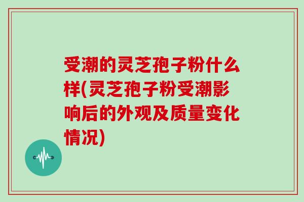 受潮的灵芝孢子粉什么样(灵芝孢子粉受潮影响后的外观及质量变化情况)