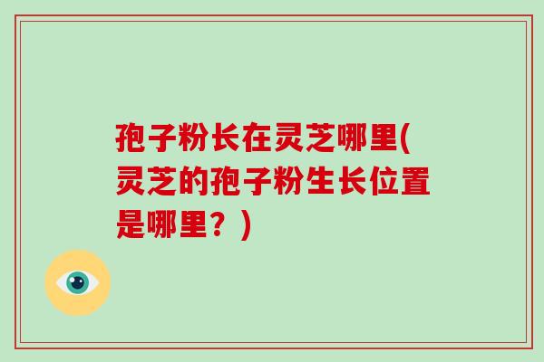 孢子粉长在灵芝哪里(灵芝的孢子粉生长位置是哪里？)