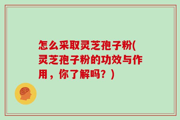 怎么采取灵芝孢子粉(灵芝孢子粉的功效与作用,你了解吗?)