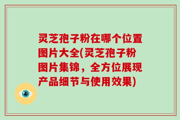 灵芝孢子粉在哪个位置图片大全(灵芝孢子粉图片集锦，全方位展现产品细节与使用效果)