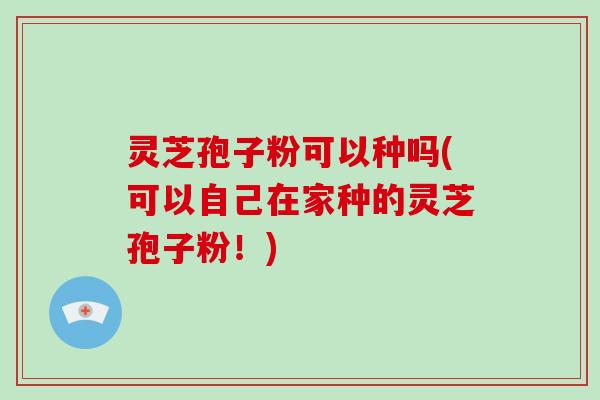 灵芝孢子粉可以种吗(可以自己在家种的灵芝孢子粉!)