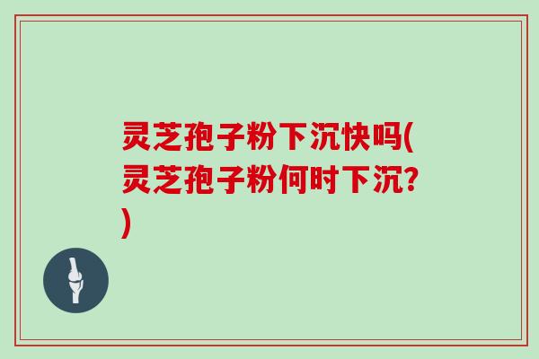 灵芝孢子粉下沉快吗(灵芝孢子粉何时下沉？)