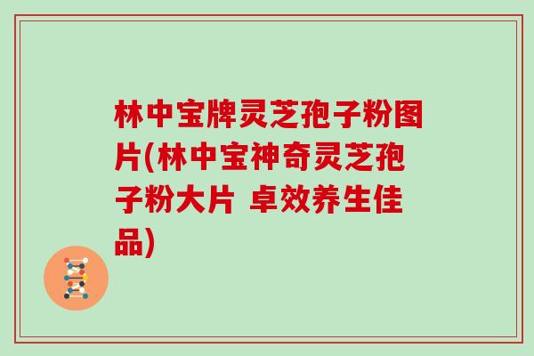 林中宝牌灵芝孢子粉图片(林中宝神奇灵芝孢子粉大片 卓效养生佳品)