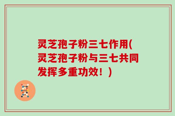 灵芝孢子粉三七作用(灵芝孢子粉与三七共同发挥多重功效!)