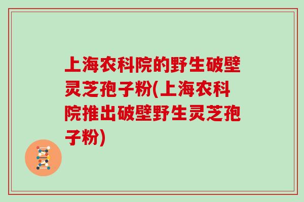 上海农科院的野生破壁灵芝孢子粉(上海农科院推出破壁野生灵芝孢子粉)