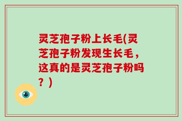 灵芝孢子粉上长毛(灵芝孢子粉发现生长毛,这真的是灵芝孢子粉吗?)