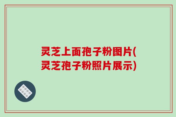 灵芝上面孢子粉图片(灵芝孢子粉照片展示)