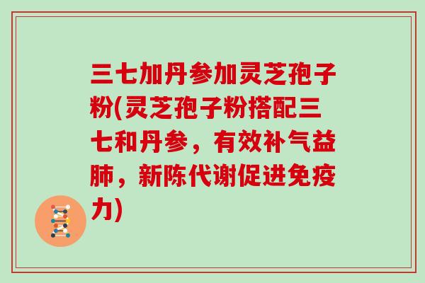 三七加丹参加灵芝孢子粉(灵芝孢子粉搭配三七和丹参，有效补气益肺，新陈代谢促进免疫力)
