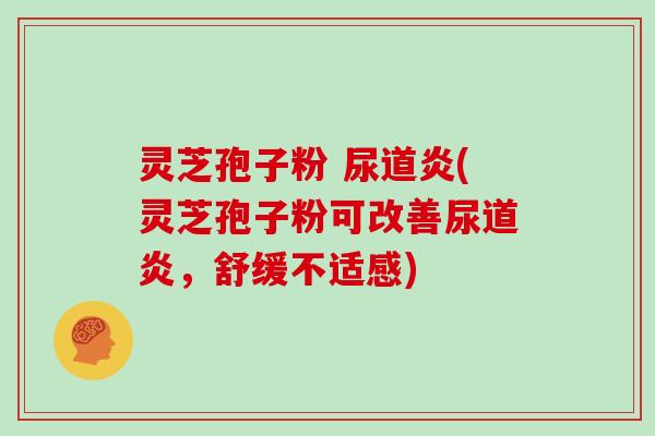 灵芝孢子粉 尿道炎(灵芝孢子粉可改善尿道炎，舒缓不适感)