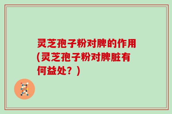 灵芝孢子粉对脾的作用(灵芝孢子粉对脾脏有何益处?)