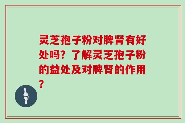 灵芝孢子粉对脾肾有好处吗？了解灵芝孢子粉的益处及对脾肾的作用？