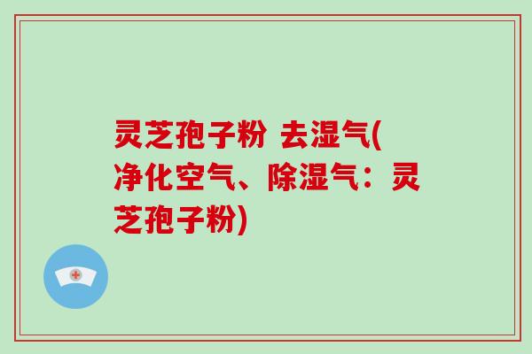 灵芝孢子粉 去湿气(净化空气、除湿气:灵芝孢子粉)
