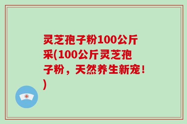 灵芝孢子粉100公斤采(100公斤灵芝孢子粉,天然养生新宠!)