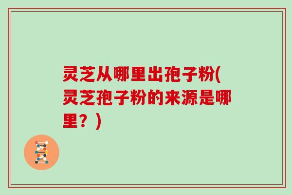 灵芝从哪里出孢子粉(灵芝孢子粉的来源是哪里？)